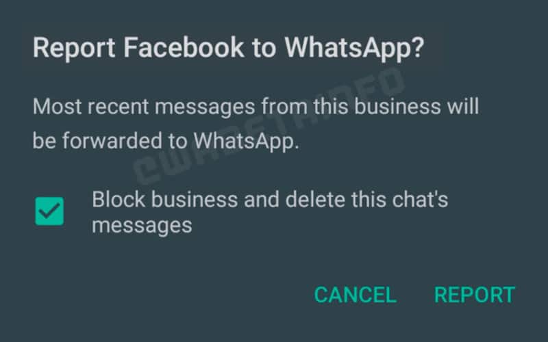 whatsapp signalement